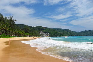 body of water during daytime